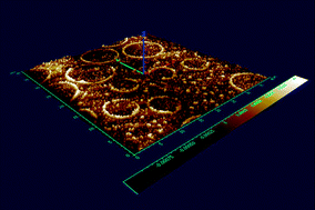 Graphical abstract: Protein directed assembly of lipids