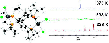 Graphical abstract: A 2,2′,6,6′-tetraphosphinobiphenyl