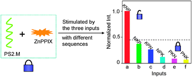 Graphical abstract: An aptamer-based keypad lock system