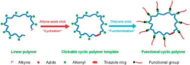 Graphical abstract: Two consecutive click reactions as a general route to functional cyclic polyesters