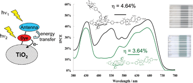 Graphical abstract: Supramolecular light harvesting antennas to enhance absorption cross-section in dye-sensitized solar cells