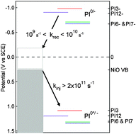 Graphical abstract: Ultrafast recombination for NiO sensitized with a series of perylene imide sensitizers exhibiting Marcus normal behaviour