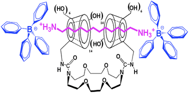 Graphical abstract: Expeditious synthesis of bis-β-cyclodextrinyl-diazacrown-[2]cryptorotaxanes