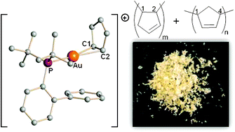 Graphical abstract: The coordination and polymerisation of cyclic 1,3-dienes by gold(i) cations