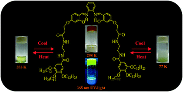 Graphical abstract: Evidence of aggregation induced emission enhancement and keto-enol-tautomerism in a gallic acid derived salicylideneaniline gel