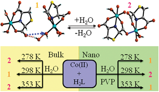 Graphical abstract: Temperature-directed structural recurrence in low-symmetric Co(ii) complexes and nanocrystals