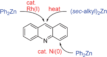 Graphical abstract: Regioselective C–H bond functionalizations of acridines using organozinc reagents