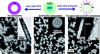 Graphical abstract: Crystalline Te nanotube and Te nanorods-on-CdTe nanotube arrays on ITO via a ZnO nanorod templating-reaction
