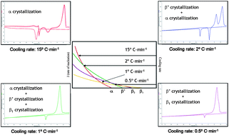 Graphical abstract: In situ synchrotron radiation X-ray diffraction study of crystallization kinetics of polymorphs of 1,3-dioleoyl-2-palmitoyl glycerol (OPO)