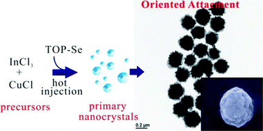 Graphical abstract: Synthesis of CuInSe2 ternary nanostructures: a combined oriented attachment and ligand protection strategy