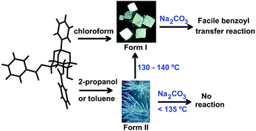 Graphical abstract: Intermolecular benzoyl group transfer reactivity in crystals of racemic 2,6-di-O-benzoyl-myo-inositol 1,3,5-orthobenzoate: Controlling reactivity by solvate (pseudopolymorph) formation