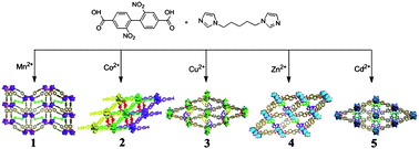 Graphical abstract: Design and construction of coordination polymers based on 2,2′-dinitro-4,4′-biphenyldicarboxylate and imidazole-based ligands: The effect of ligand length and metal ions