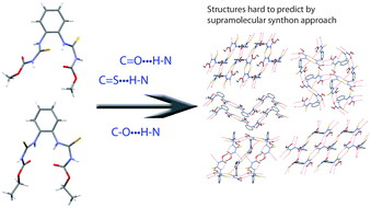 Graphical abstract: Comparison of the polymorphs and solvates of two analogous fungicides—a case study of the applicability of a supramolecular synthon approach in crystal engineering