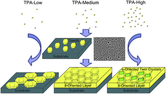 Graphical abstract: Synthesis of highly b-oriented zeolite MFI films by suppressing twin crystal growth during the secondary growth