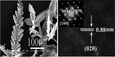Graphical abstract: Vapour phase synthesis of crystalline polyaniline with dendritic morphology