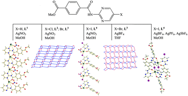 Graphical abstract: Diverse Ag(i) complexes constructed from methyl-4-(5-halopyrimidin-2-ylcarbamoyl)benzoate ligands: roles of the halogen atom and anion