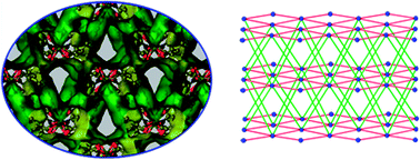Graphical abstract: A new 8-connected porous coordination polymer: crystal structure and selective adsorption properties