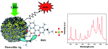 Graphical abstract: Green synthesis of rosettelike silver nanocrystals with textured surface topography and highly efficient SERS performances