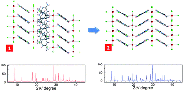 Graphical abstract: Polymorphism of (H2mela)2[CuCl5]Cl (mela = melamine): structures, transformation and magnetic properties