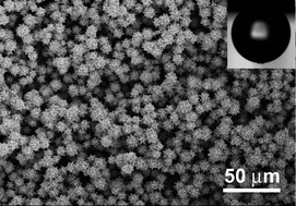 Graphical abstract: A controllable hydrothermal synthesis of uniform three-dimensional hierarchical microstructured ZnO films