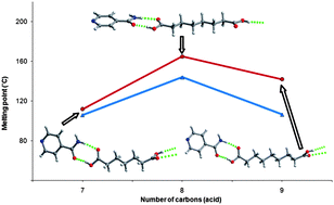 Graphical abstract: The crystal structures and melting point properties of isonicotinamide cocrystals with alkanediacids HO2C(CH2)n−2CO2Hn = 7–9