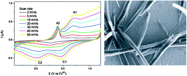 Graphical abstract: Underpotential and overpotential electrocrystallization of semiconducting silver-tetracyanoquinodimethane onto gold substrates from an ionic liquid