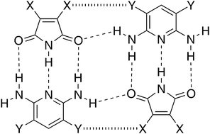 Graphical abstract: Structures of hydro-, chloro-, and bromo-substituted maleimides and 2,6-diaminopyridines, and of some of their 1 : 1 heterodimers