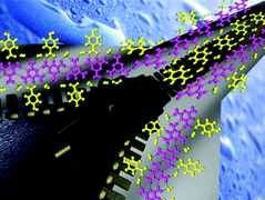 Graphical abstract: Propensity of formation of zipper architecture vs. Lincoln log arrangement in solvated molecular complexes of melamine with hydroxybenzoic acids