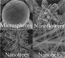 Graphical abstract: Control synthesis of rutile TiO2 microspheres, nanoflowers, nanotrees and nanobelts via acid-hydrothermal method and their optical properties