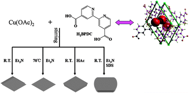 Graphical abstract: Morphology effect on the luminescent property and antibacterial activity of coordination polymer particles with identical crystal structures