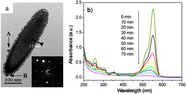 Graphical abstract: Synthesis and photocatalytic properties of core–shell structured α-Fe2O3@SnO2 shuttle-like nanocomposites
