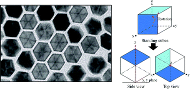 Graphical abstract: Novel standing Ni–Pt alloy nanocubes