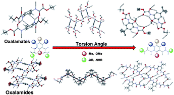 Graphical abstract: Supramolecular architectures of conformationally controlled 1,3-phenyl-dioxalamic molecular clefts through hydrogen bonding and steric restraints