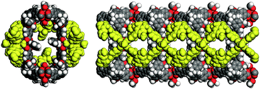 Graphical abstract: A novel 1D independent metal–organic nanotube based on cyclotriveratrylene ligand