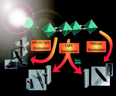 Graphical abstract: Photo-induced nucleation of rutile nanorods—an ignored parameter in crystallization