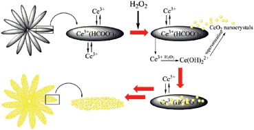 Graphical abstract: A mild solution strategy for the synthesis of mesoporous CeO2 nanoflowers derived from Ce(HCOO)3