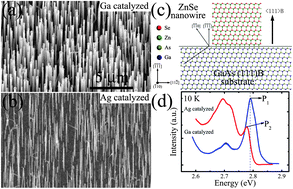 Graphical abstract: Fabrication and optical properties of vertically aligned ZnSe nanowire arrays catalyzed by Ga and Ag