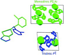 Graphical abstract: Increasing the symmetry of drug crystals: a monoclinic conformational polymorph of the platelet antiaggregating agent ticlopidine hydrochloride