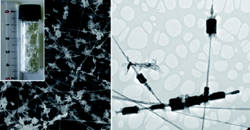 Graphical abstract: Boron nitride multiwall nanotubes decorated with BN nanosheets