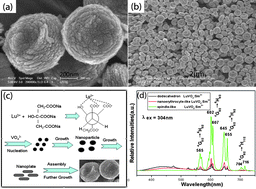 Graphical abstract: LuVO4:Ln3+ (Ln = Sm, Eu, Dy, Er and Tm) with high uniform size and morphology: Controlled synthesis, growth mechanism and optical properties