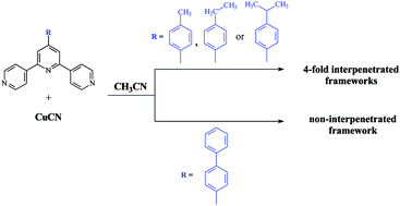 Graphical abstract: Controlling interpenetration in CuCN coordination polymers by size of the pendant substituents of terpyridine ligands