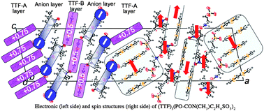 Graphical abstract: Anion polarity-induced dual oxidation states in a dual-layered purely organic paramagnetic charge-transfer salt, (TTF)3(PO-CON(CH3)C2H4SO3)2, where PO = 2,2,5,5-tetramethyl-3-pyrrolin-1-oxyl free radical