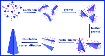 Graphical abstract: Twinned TATB nanobelts: synthesis, characterization, and formation mechanism