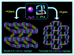 Graphical abstract: Crystal engineering with 1,3,5-triaza-7-phosphaadamantane (PTA): first PTA-driven 3D metal–organic frameworks