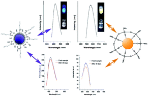 Graphical abstract: Synthesis and characterization of biocompatible ZnO nanoparticles