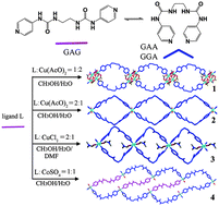 Graphical abstract: One-dimensional coordination polymers of a flexible bis(pyridylurea) ligand