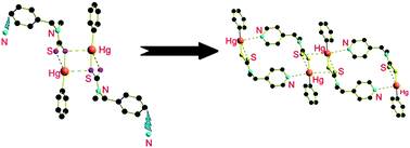 Graphical abstract: The interplay of secondary Hg⋯S, Hg⋯N and Hg⋯π bonding interactions in supramolecular structures of phenylmercury(ii) dithiocarbamates
