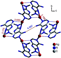 Graphical abstract: Adenine containing architectures from silver supported dimeric units