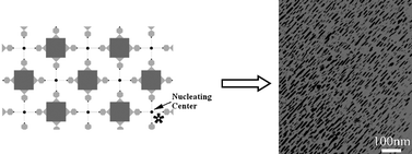 Graphical abstract: CdCl2·H2O nanorods oriented parallel on the Langmuir film of (phthalocyaninato) [tetrakis(4-pyridyl)porphyrinato] cerium complex