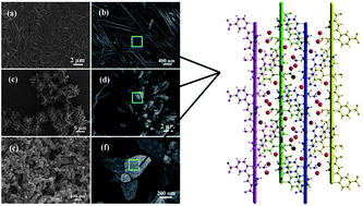 Graphical abstract: Facile synthesis of zinc(ii)-carboxylate coordination polymer particles and their luminescent, biocompatible and antibacterial properties